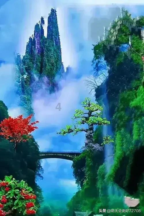 大渔场:海参的热泡法和冷水发泡法