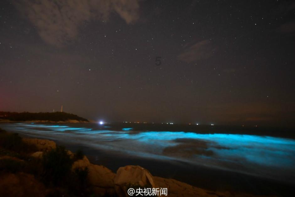 救援紫色生物