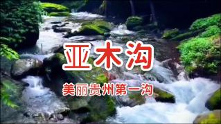 把警务室“搬”进沃柑园