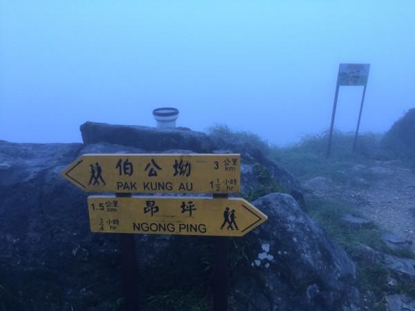 探索煮猪肉的正确方法知识星球,拓展您的专业视野