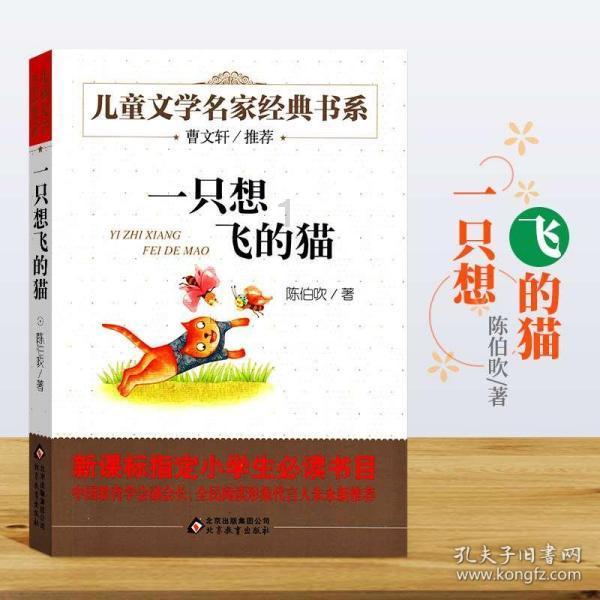 救援修女
