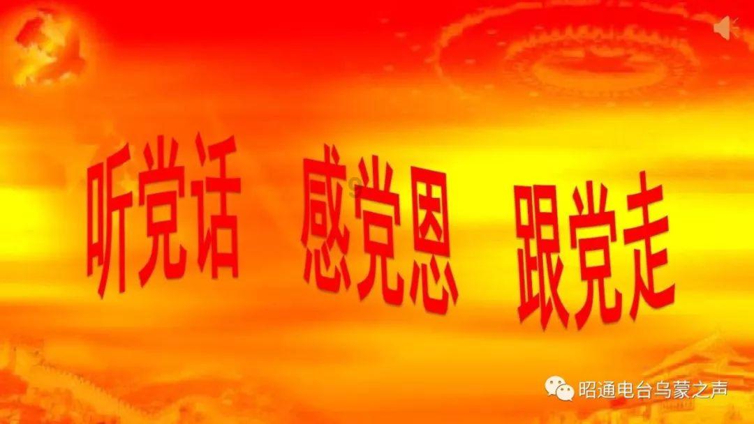 美人鱼的聚会