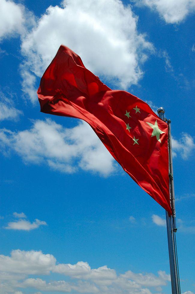香港美术家协会执行副主席一陈忱