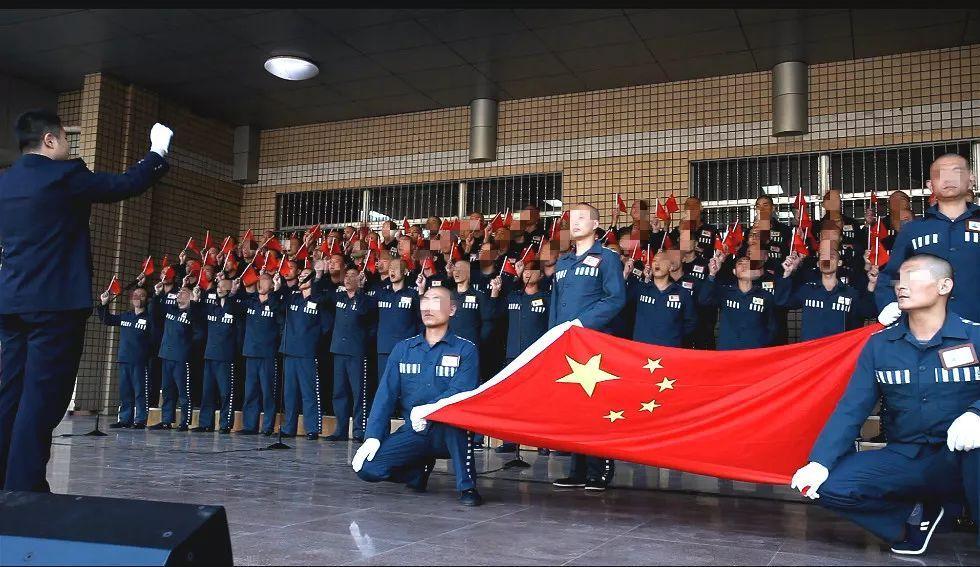 口袋森林世界杯防守战