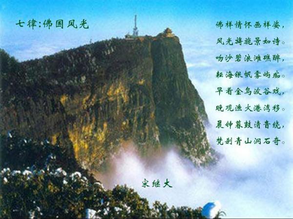 时尚小鸡救援