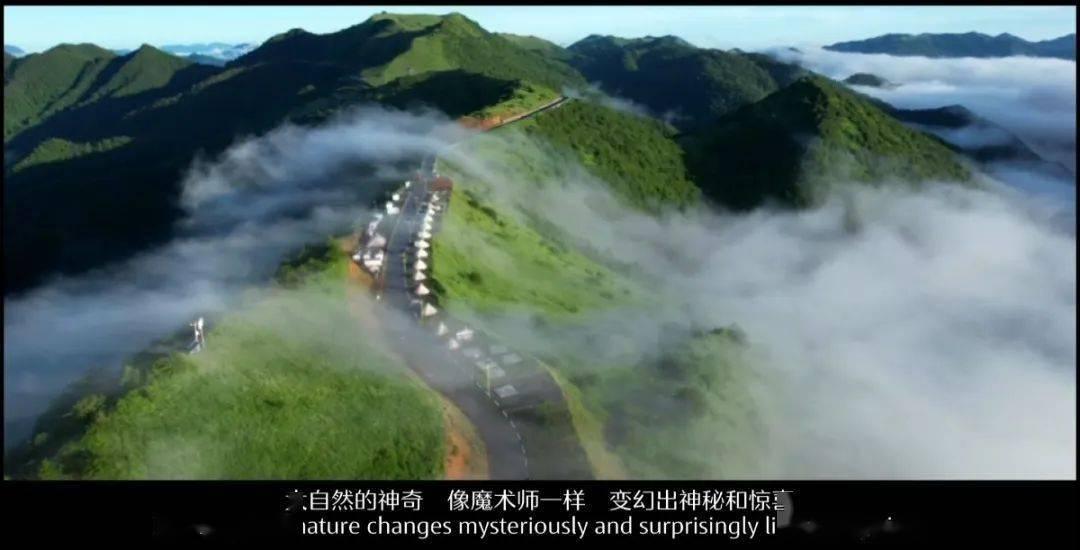 岳云鹏遭遇爱情冲击！金莎情话时刻，日记网站大揭秘！